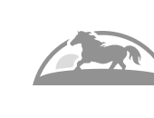 New Alt Text 26